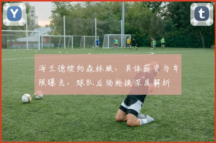 海兰德续约森林狼,具体薪资与年限曝光,球队后场轮换深度解析